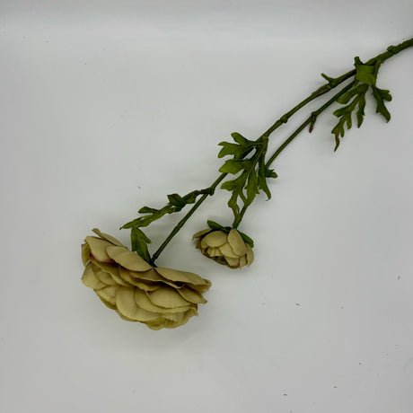 Ranunculus X1 7 inchx25.5 inch, additional view