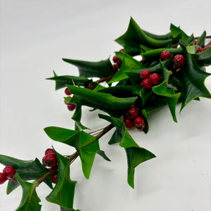 30" Fresh Cut Holly Spray