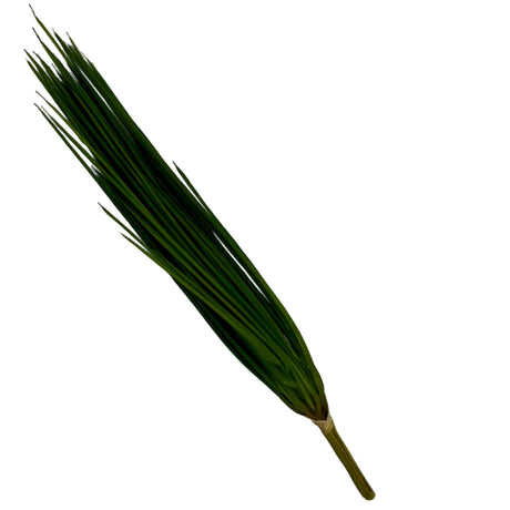 Light Green Onion Grass Bush, additional view