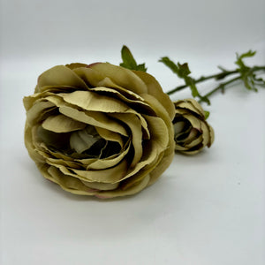 Ranunculus X1 7"x25.5"