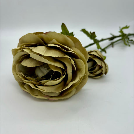 Ranunculus X1 7 inchx25.5 inch, additional view