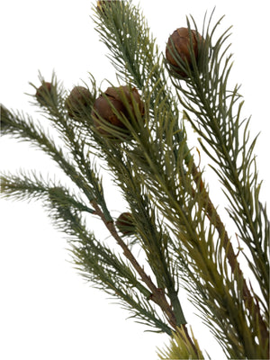 37” Weeping Pine Nut Pick