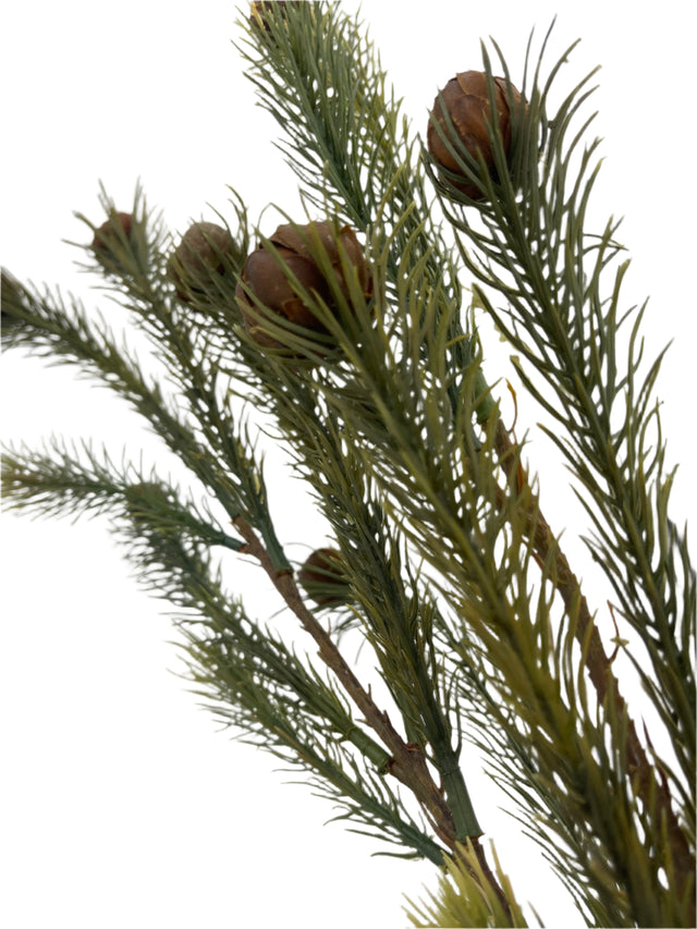 37” Weeping Pine Nut Pick