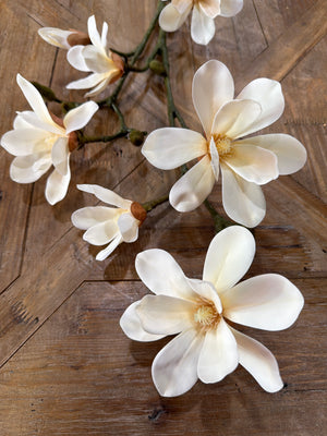 37" Natural Touch Japanese Magnolia Stem