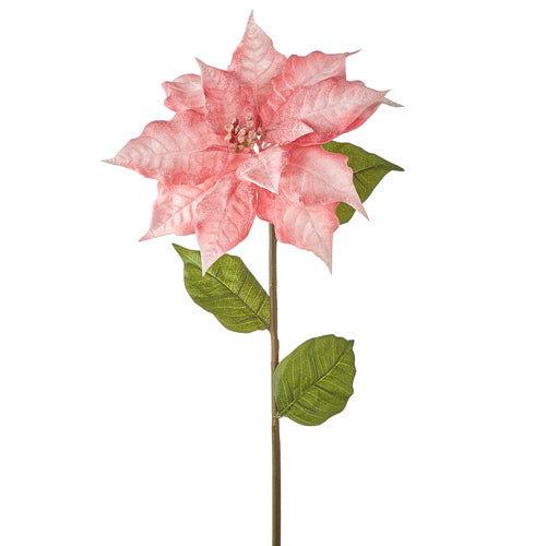 A 31 inch pink glittered artificial poinsettia real touch stem decoration.