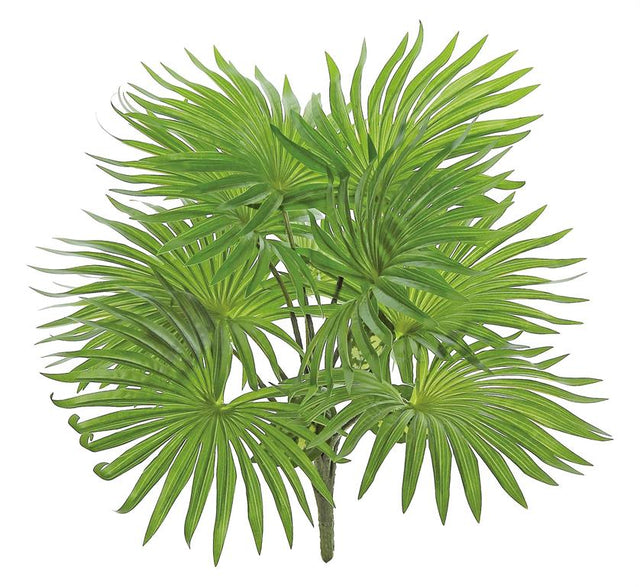 17" Natural-Touch Fountain Palm Plant