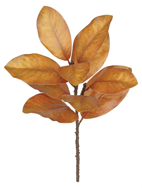 22 inch Autumn Dried Magnolia Leaf Spray