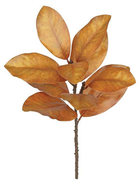 22 inch Autumn Dried Magnolia Leaf Spray
