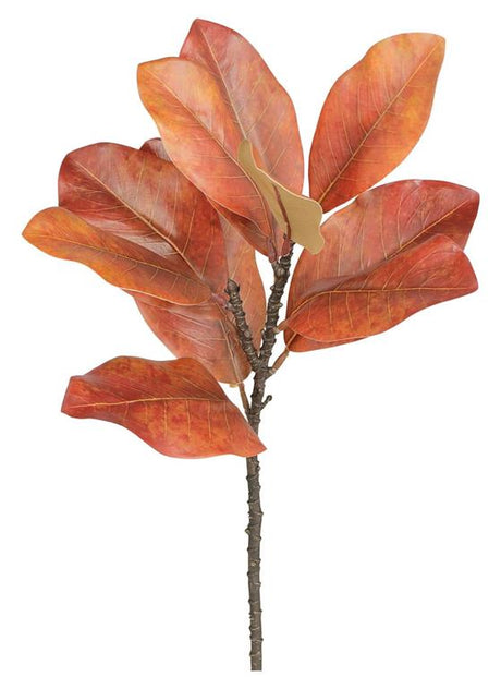 22 inch Orange Dried Magnolia Leaf Spray