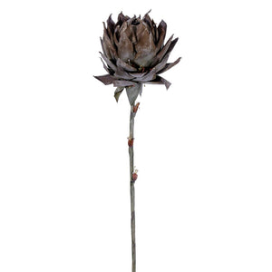 42.5" Brown Dried Artificial Protea Stem