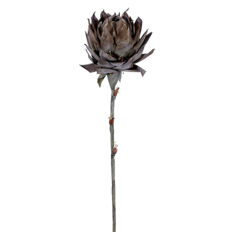 42.5 inch Brown Dried Artificial Protea Stem