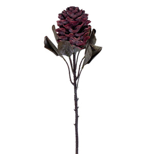22" Dried Artificial Torch Ginger Stem | Light Red, Cream, or Light Orange