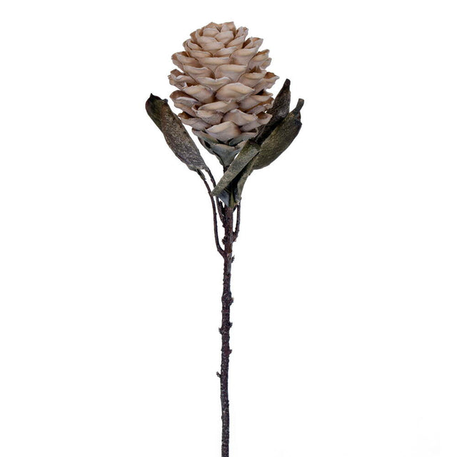 22" Dried Artificial Torch Ginger Stem | Light Red, Cream, or Light Orange