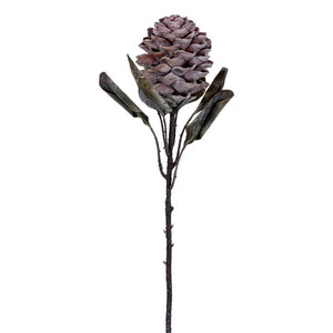 22" Dried Artificial Torch Ginger Stem | Light Red, Cream, or Light Orange