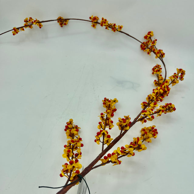 83" Hanging Wild Bittersweet Vine Stem