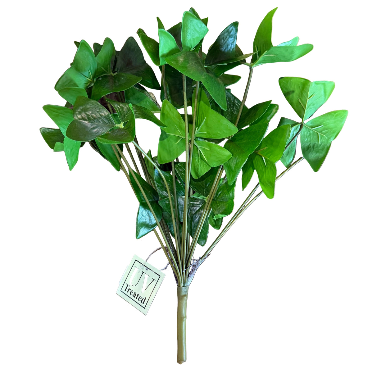 15" Garden Oxalis Plant | UV Protected