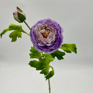24" Purple Ranunculus Spray