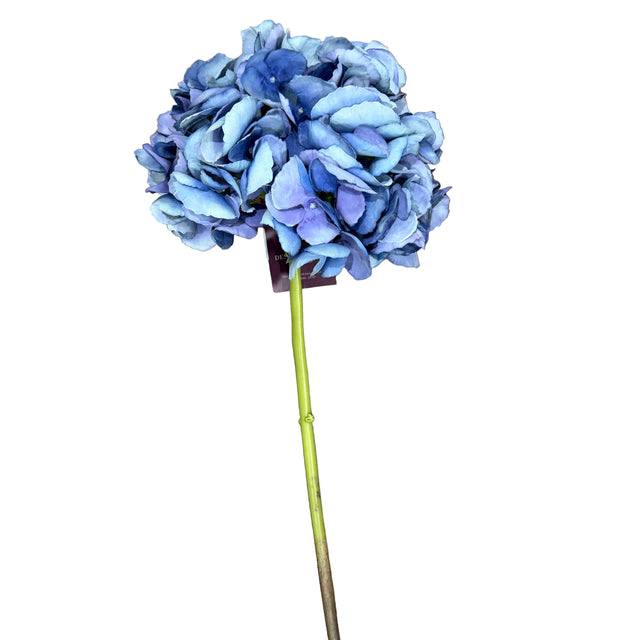 Blue hydrangea flower on a wooden surface