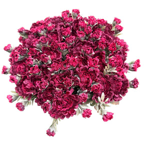 Fall Mum Bush, additional view