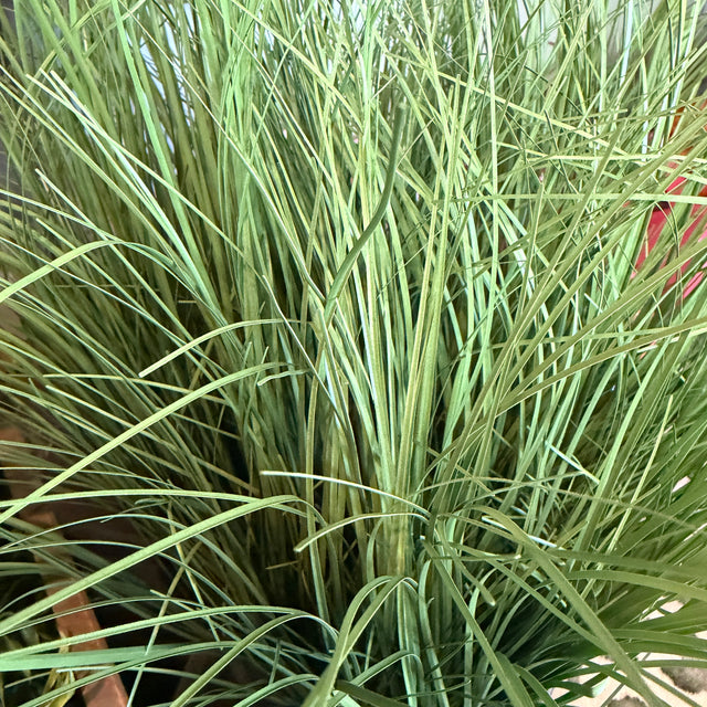 23.62" Sage Grass Bush