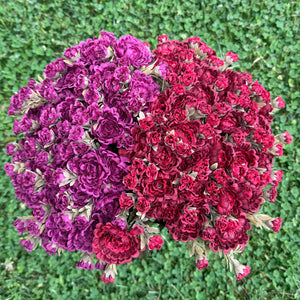 16" Fall Mum Bush | Available in Burgundy or Plum