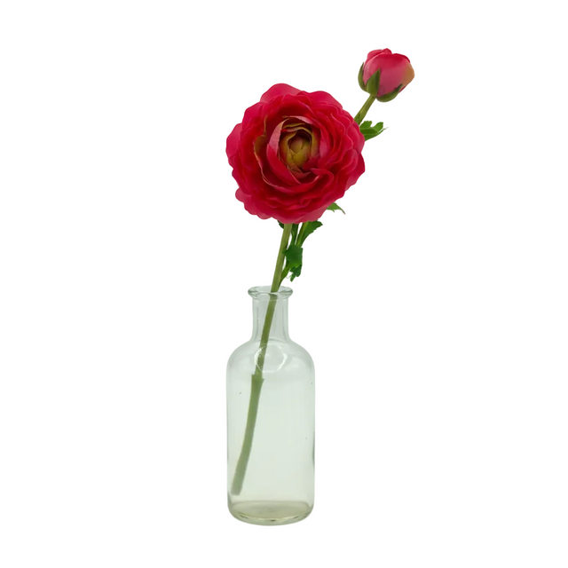 23” Just Cut Ranunculus Bloom & Bud | Hot Pink