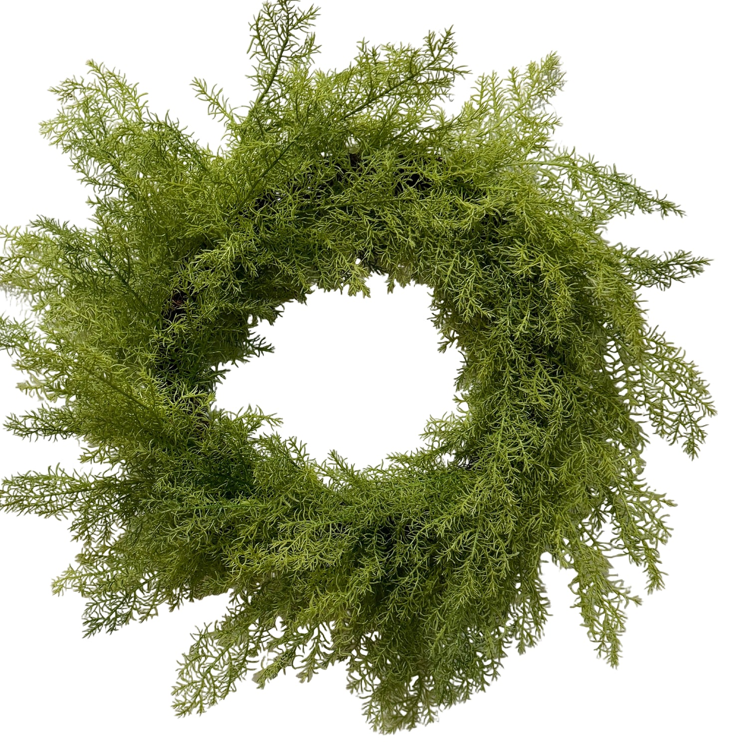Natural Touch Asparagus Fern Wreath 24"