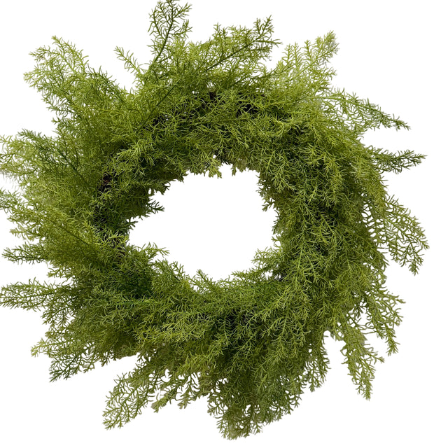 Natural Touch Asparagus Fern Wreath 24"