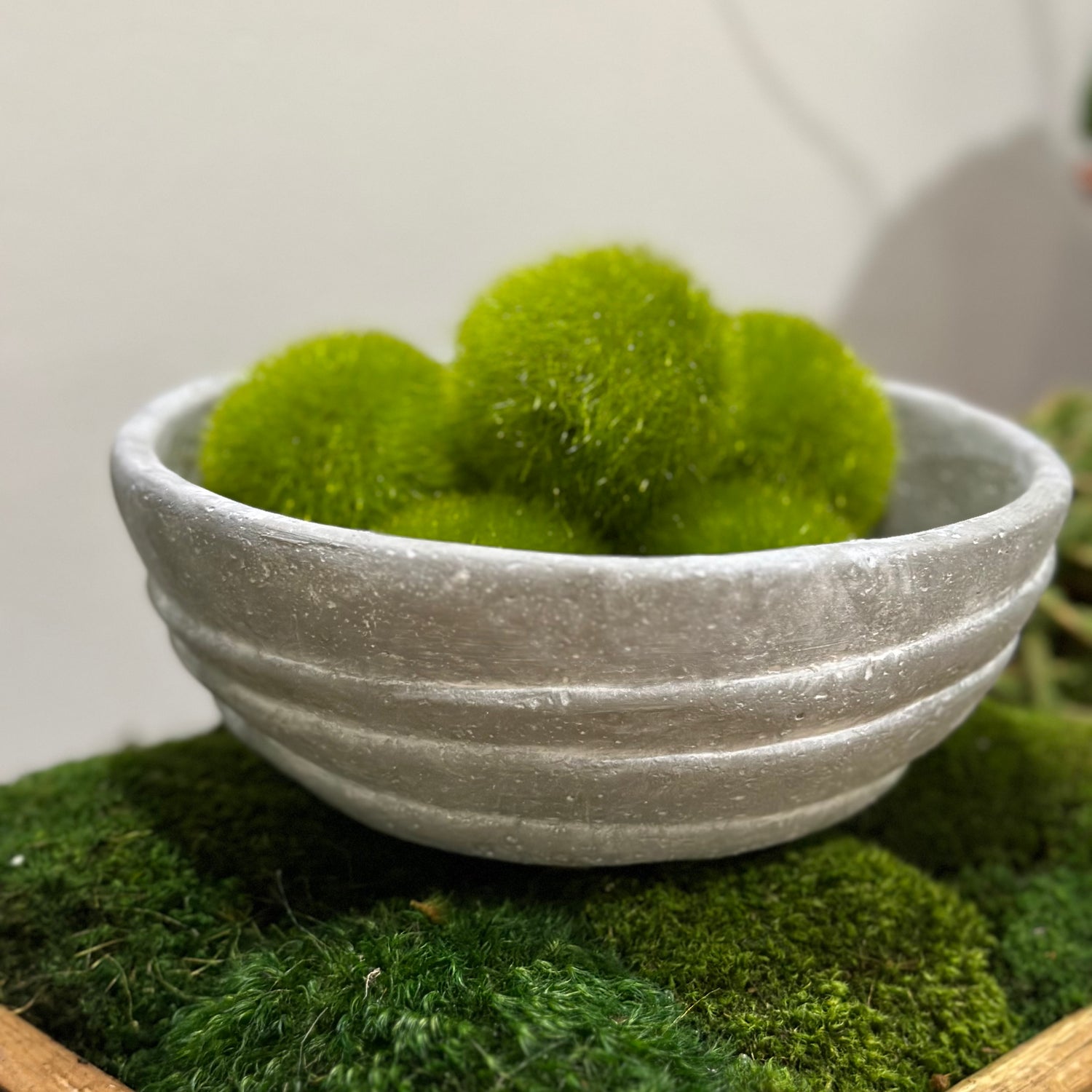 3" Layered Design Concrete Pot