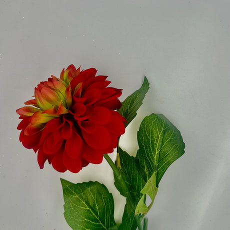 Crimson Dahlia Stem, additional view
