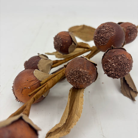 Dried Berry Pick, Burgundy, Cranberry, or Cream, additional view