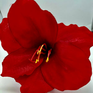 26" Red Amaryllis Stem