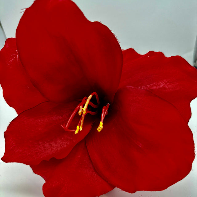 26" Red Amaryllis Stem