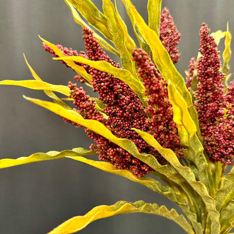 Burgundy Astilbe Bush, additional view