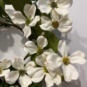 12" Cream Dogwood Candle Ring