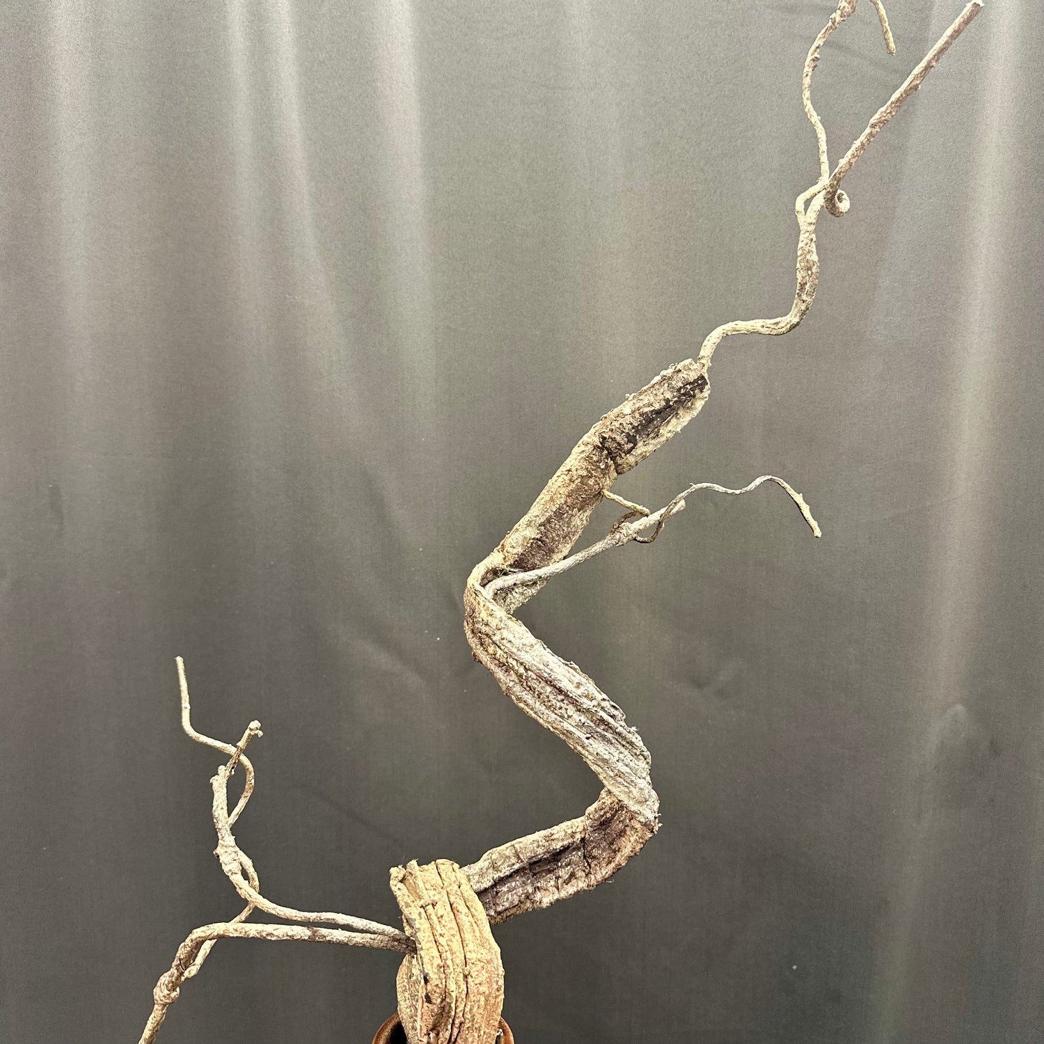 34" Wooden Twisty Twigs