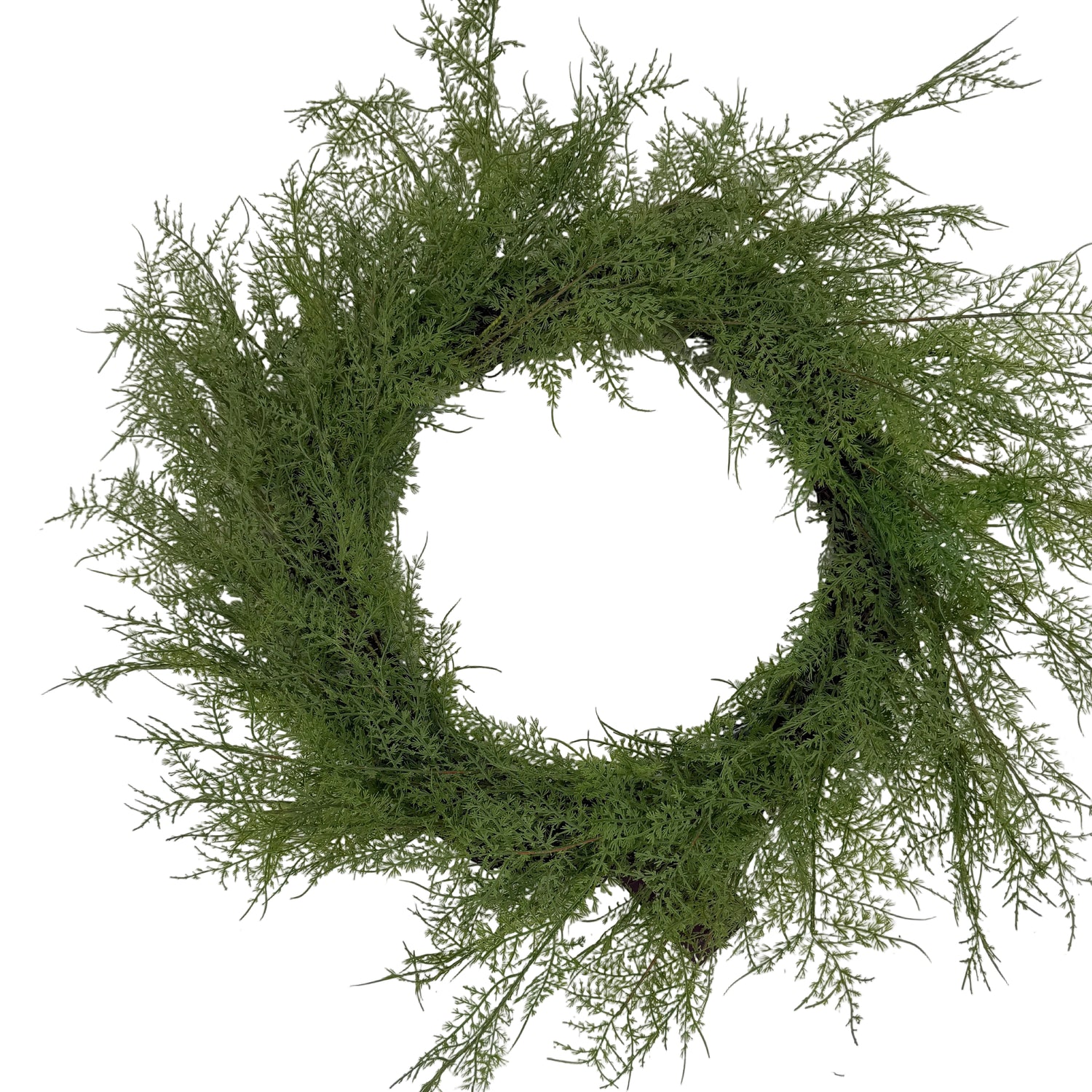 24" Asparagus Fern Wreath