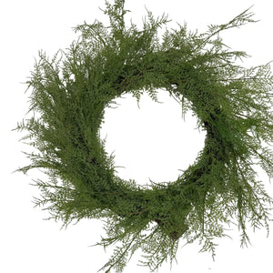 24" Asparagus Fern Wreath