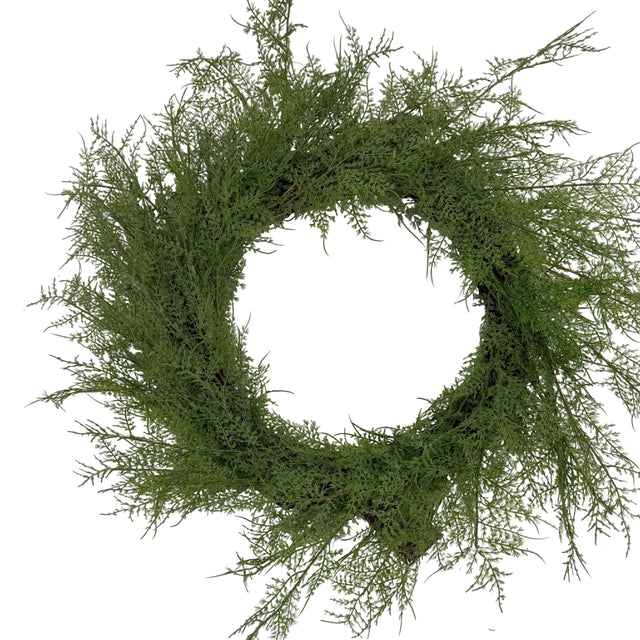 24" Asparagus Fern Wreath