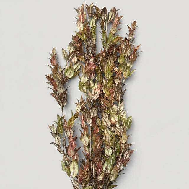 30" Copper Ruscus Hanging Bush