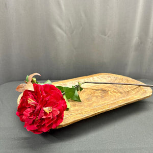 37" Red Camelia Stem