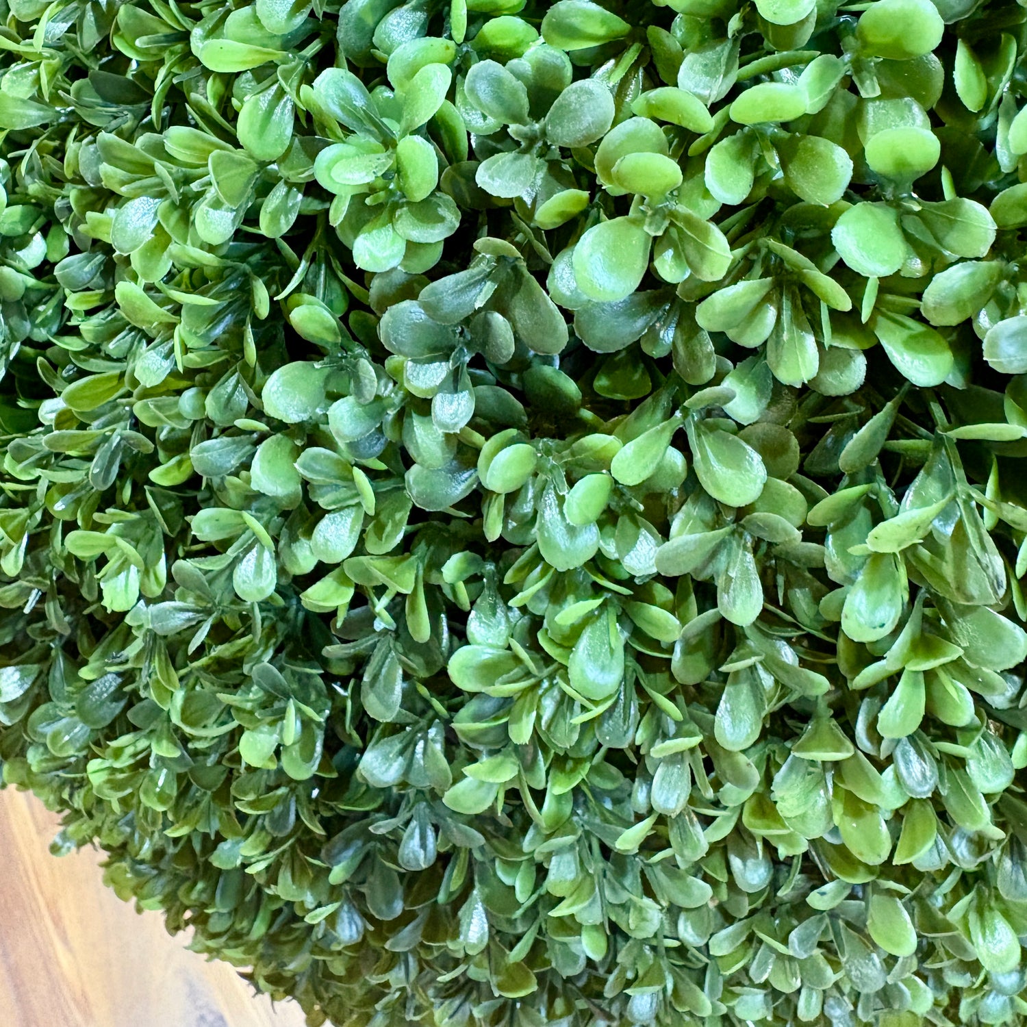 41" UV-Treated Boxwood Heart Topiary in Pot