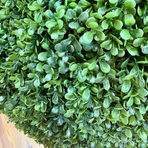 41" UV-Treated Boxwood Heart Topiary in Pot