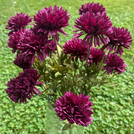 Plum Fall Mum Bundle, additional view