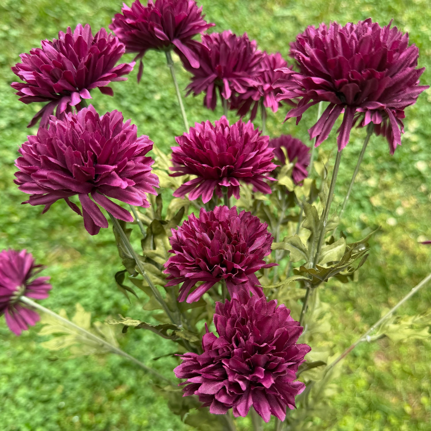 19" Plum Fall Mum Bundle