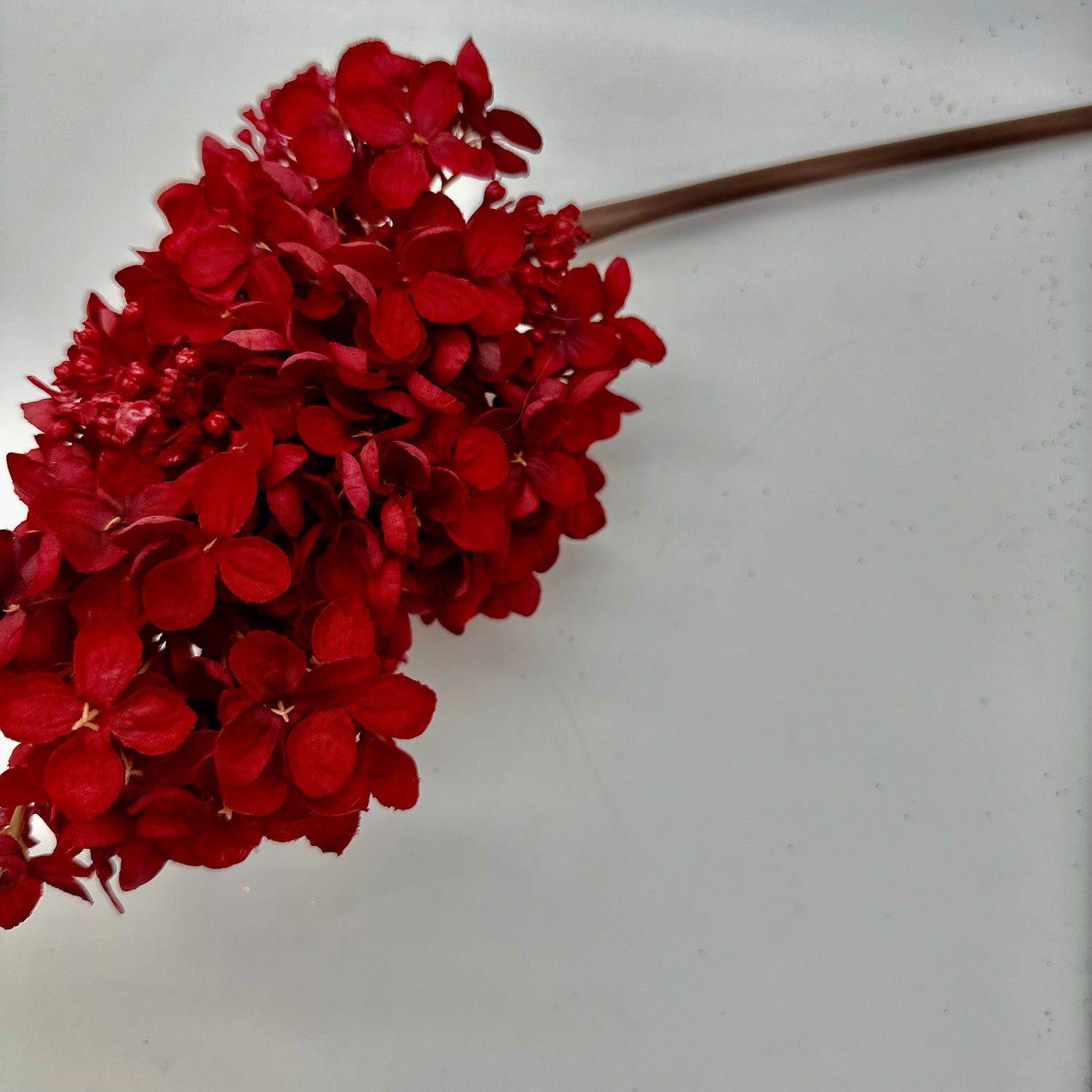 29" Dark Red Peegee Hydrangea Stem