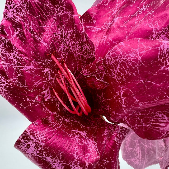 21" Metallic Hot Pink Fantasy Amaryllis Stem
