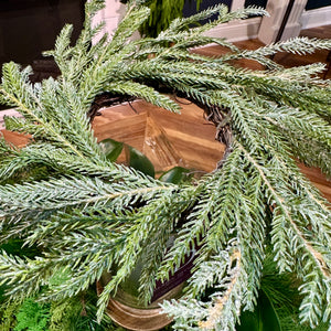 3" Frosted Austrian Pine Candle Ring