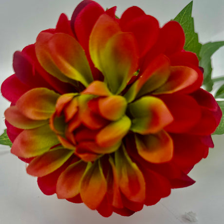 Crimson Dahlia Stem, additional view