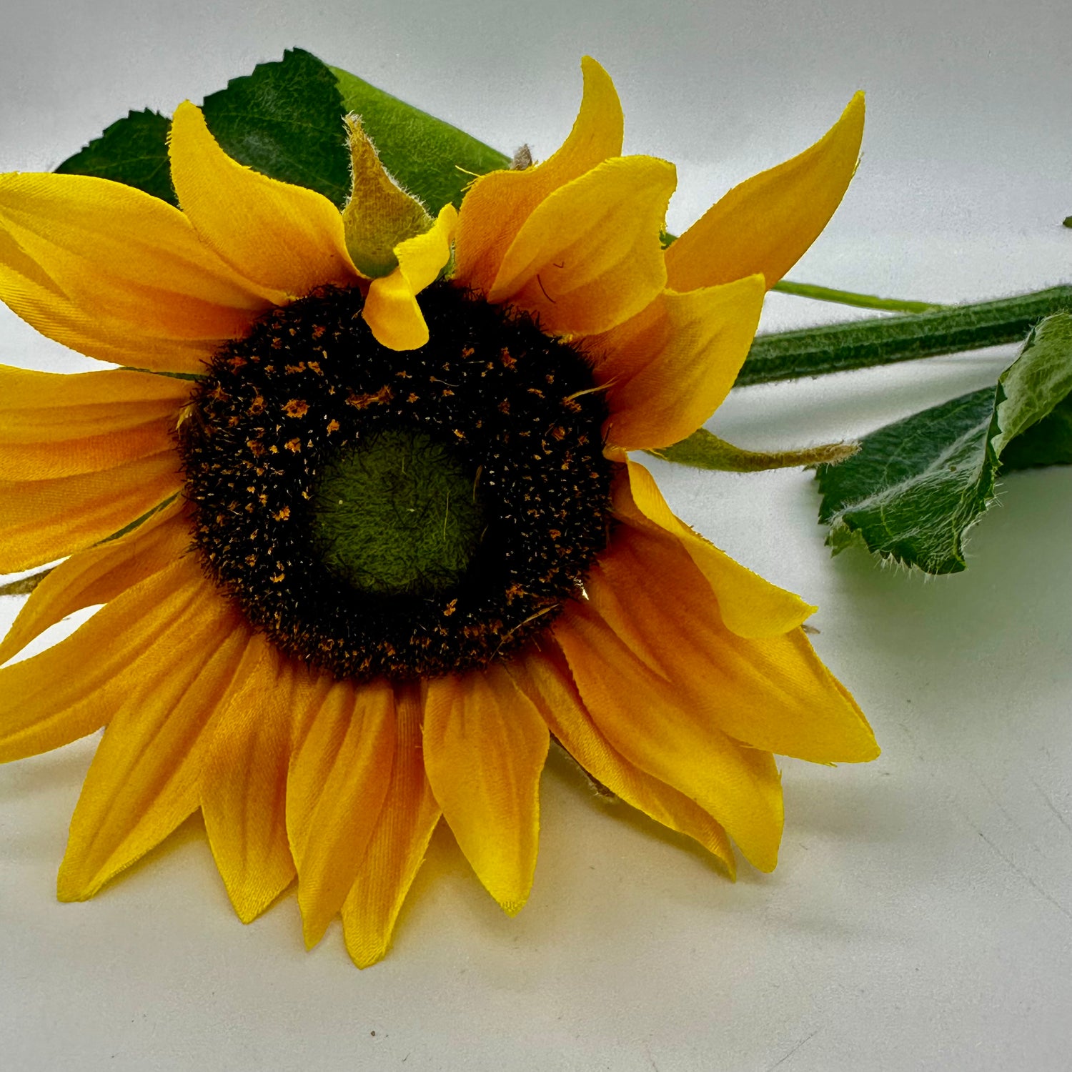 22" Sunflower Stem